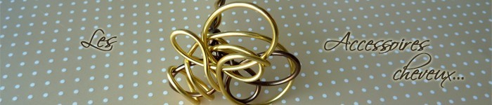 Accessoires Cheveux