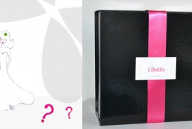 image libellis box kit témoin image libellis box kit témoin