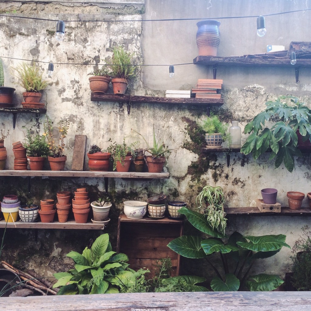 jolie ambiance végétale boutique  Porto-Portugal